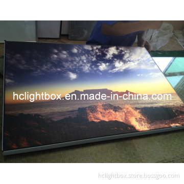 Fabric Frameless Display Light Box